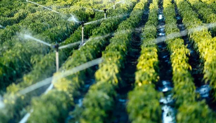 نظام زرع لإدارة المنشئات الزراعية والحيوانية