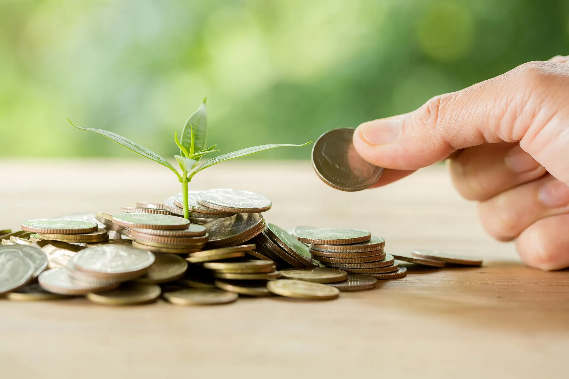 نظام إدارة الأوقاف