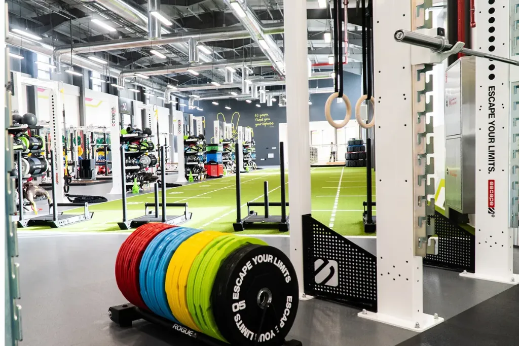 GYM Management System